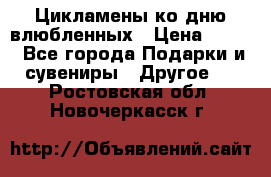 Цикламены ко дню влюбленных › Цена ­ 180 - Все города Подарки и сувениры » Другое   . Ростовская обл.,Новочеркасск г.